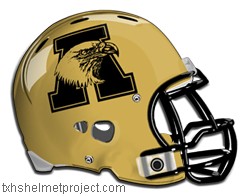 Courtesy of txhshelmetproject.com