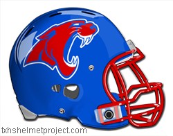 Courtesy of txhshelmetproject.com