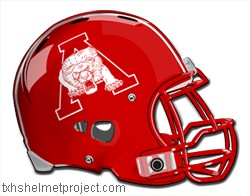 Courtesy of txhshelmetproject.com