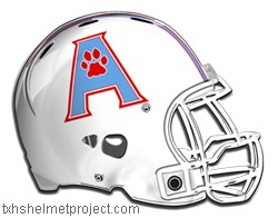 Courtesy of txhshelmetproject.com