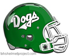 Courtesy of txhshelmetproject.com