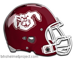 Courtesy of txhshelmetproject.com