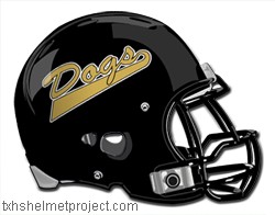 Courtesy of txhshelmetproject.com