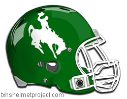 Courtesy of txhshelmetproject.com