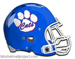 Courtesy of txhshelmetproject.com