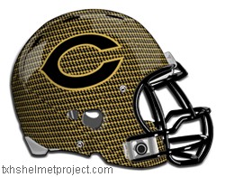 Courtesy of txhshelmetproject.com