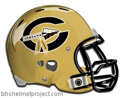 Courtesy of txhshelmetproject.com