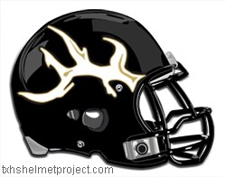 Courtesy of txhshelmetproject.com