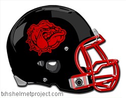 Courtesy of txhshelmetproject.com
