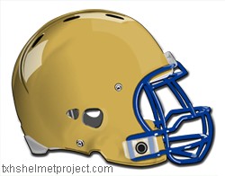 Courtesy of txhshelmetproject.com