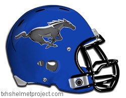 Courtesy of txhshelmetproject.com