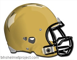 Courtesy of txhshelmetproject.com