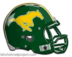 Courtesy of txhshelmetproject.com