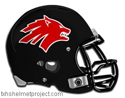 Courtesy of txhshelmetproject.com