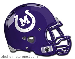 Courtesy of txhshelmetproject.com