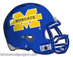 Courtesy of txhshelmetproject.com