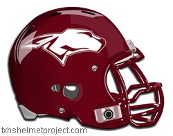 Courtesy of txhshelmetproject.com